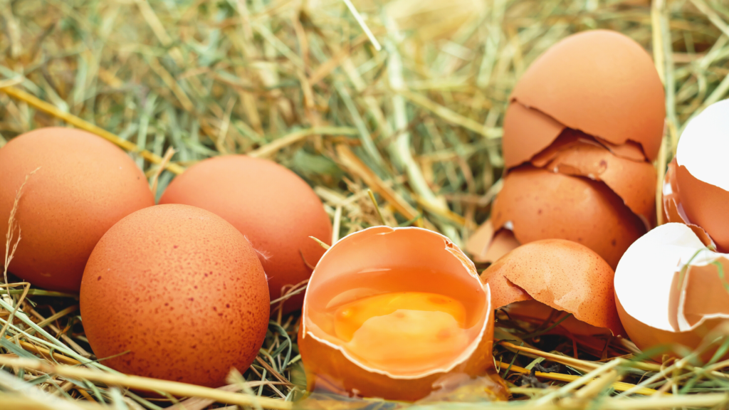 Eggs are a great food source of vitamin D!