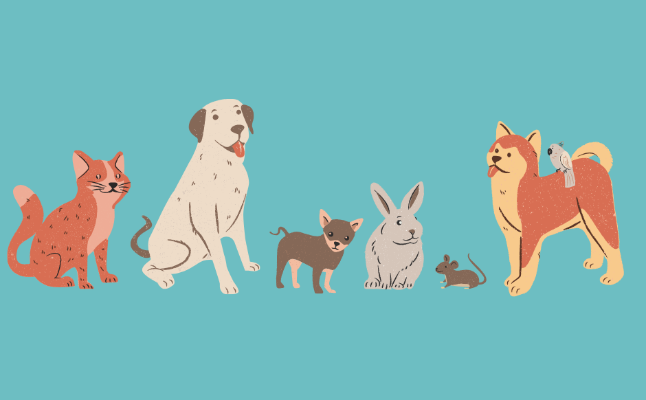 Pets of all shapes and sizes can be good for your health! Image of pets from Canva.